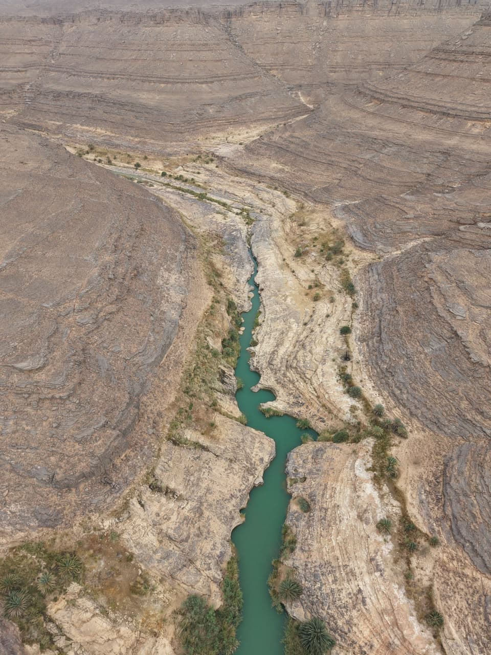 Photo de nos expéditions au Sahara algérien
