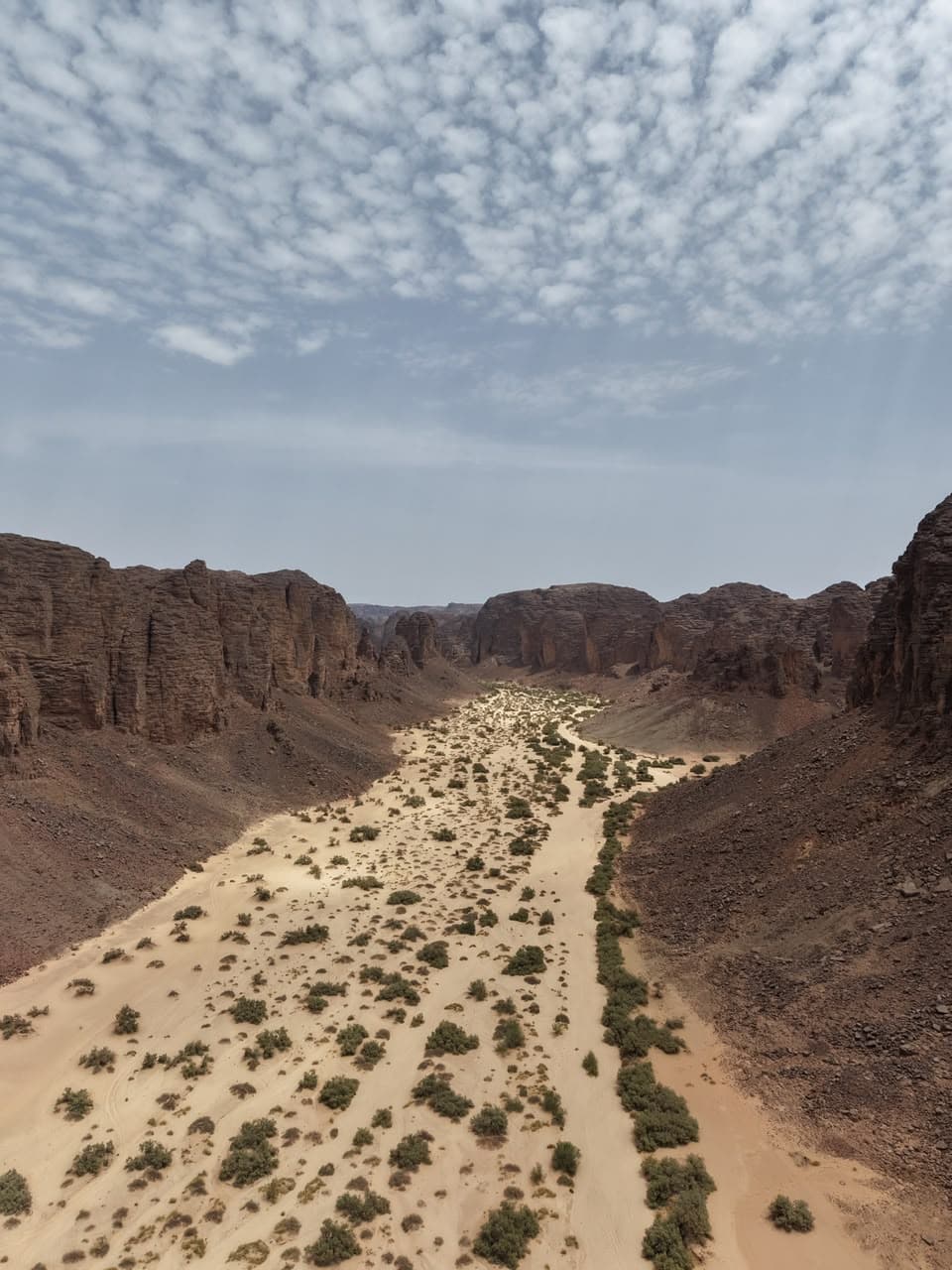 Photo de nos expéditions au Sahara algérien
